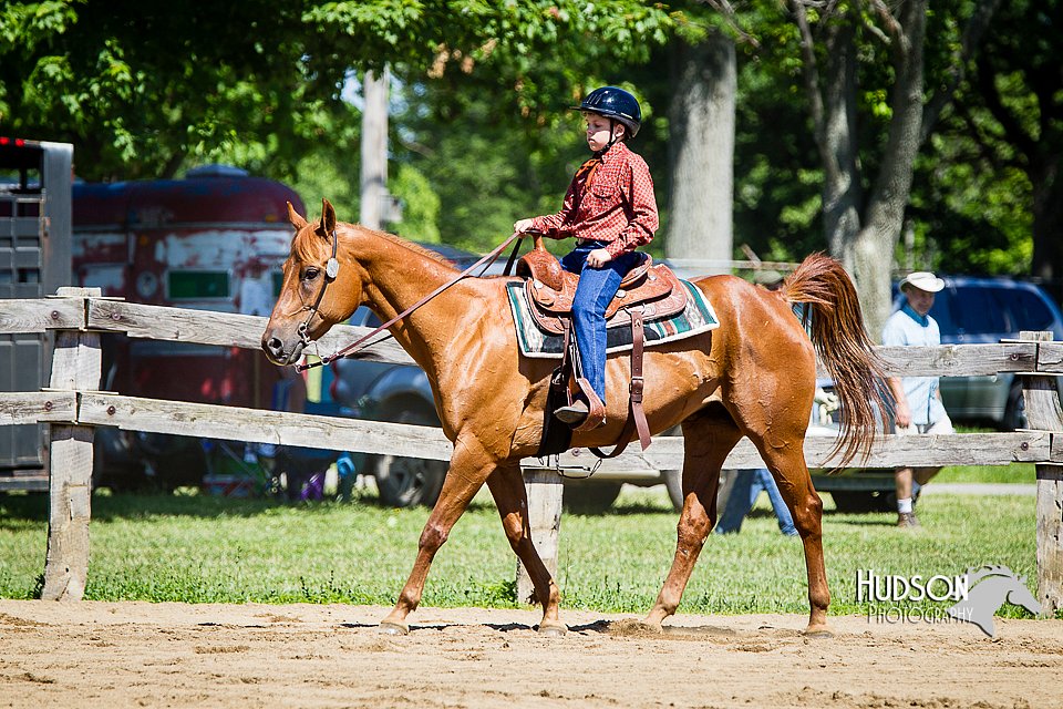 4H-FUN-060714-0519.jpg