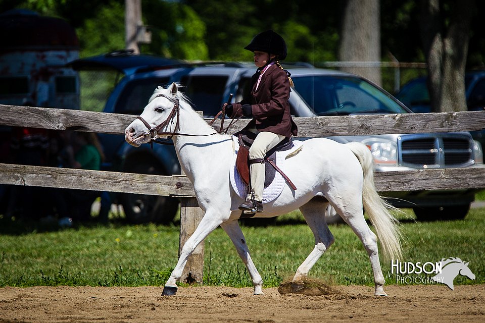 4H-FUN-060714-0545.jpg