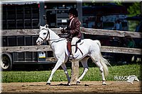 4H-FUN-060714-0546.jpg