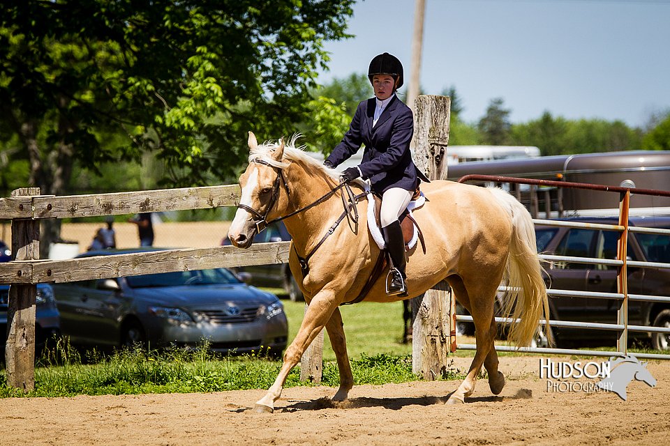 4H-FUN-060714-0581.jpg