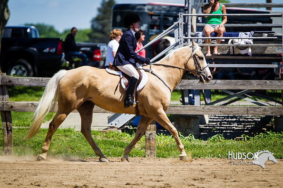 4H-FUN-060714-0595.jpg