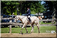 4H-FUN-060714-0610.jpg