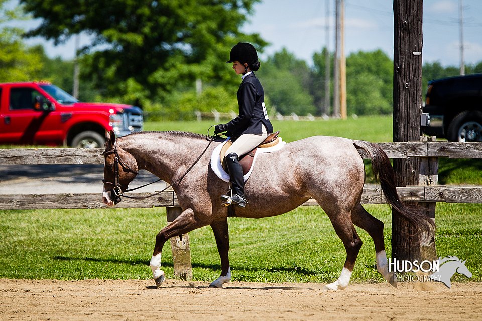 4H-FUN-060714-0629.jpg