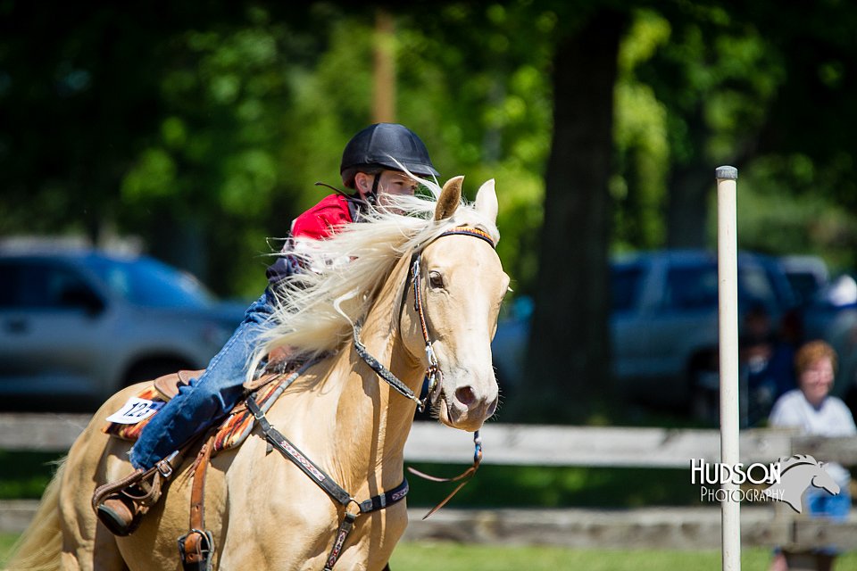 4H-FUN-060714-0699.jpg