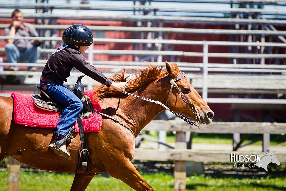 4H-FUN-060714-0730.jpg