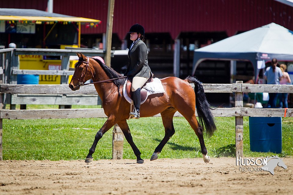 4H-FUN-060714-0776.jpg