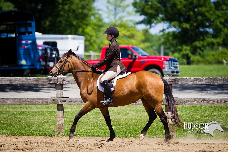 4H-FUN-060714-0795.jpg