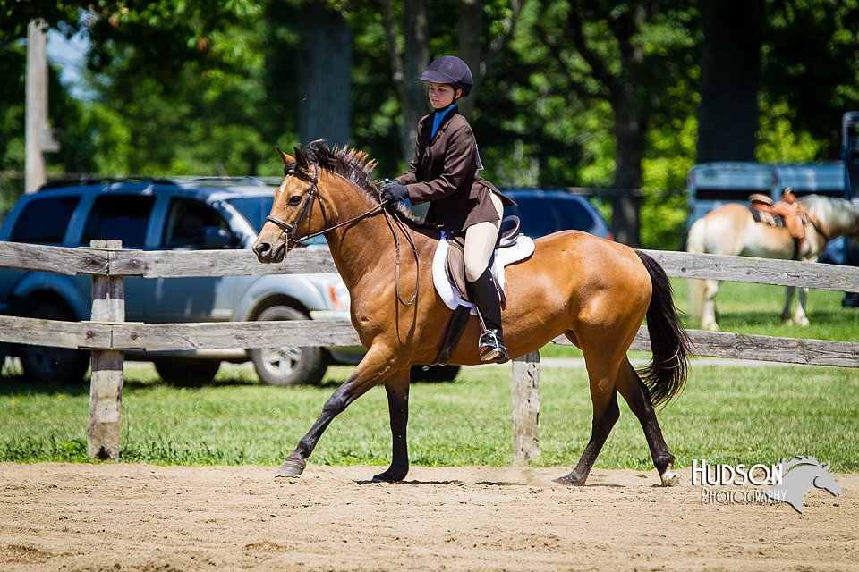 4H-FUN-060714-0797.jpg