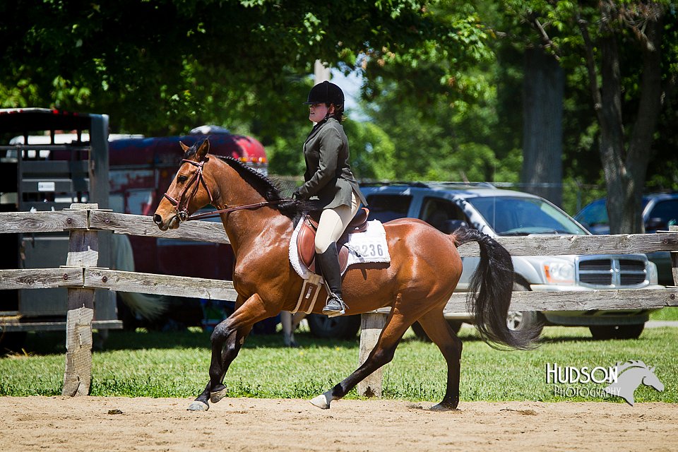 4H-FUN-060714-0799.jpg