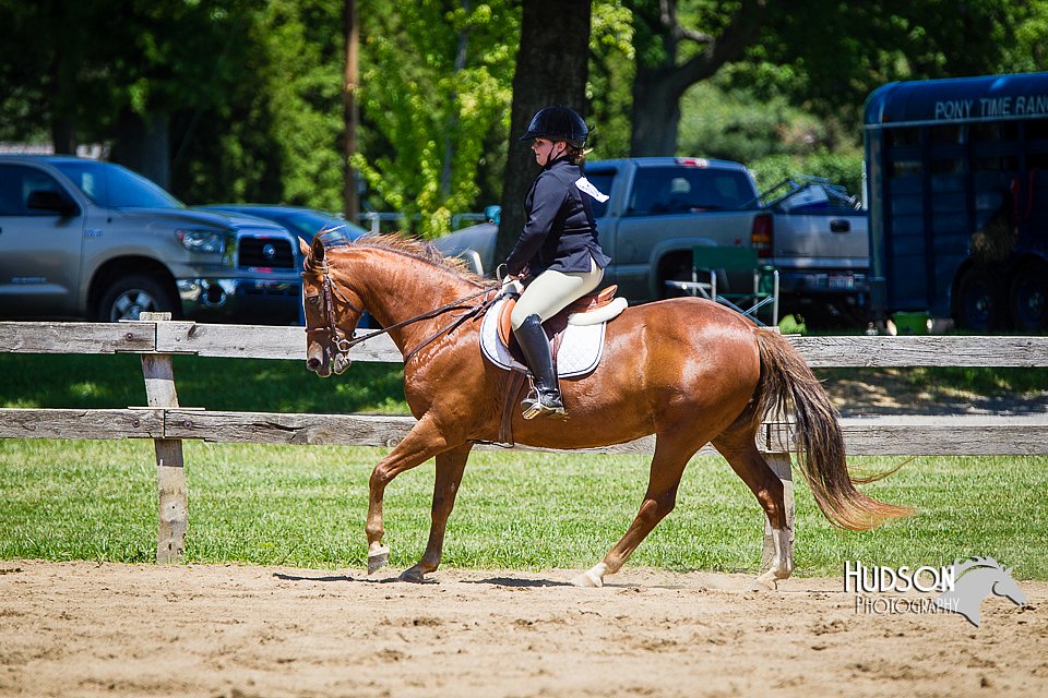 4H-FUN-060714-0802.jpg