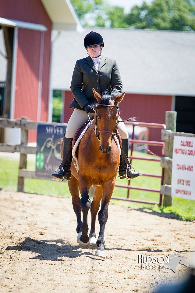 4H-FUN-060714-0806.jpg