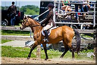 4H-FUN-060714-0786.jpg