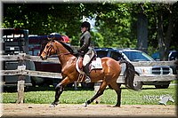 4H-FUN-060714-0799.jpg