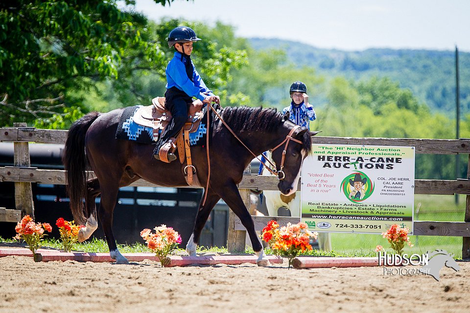 4H-FUN-060714-0855.jpg