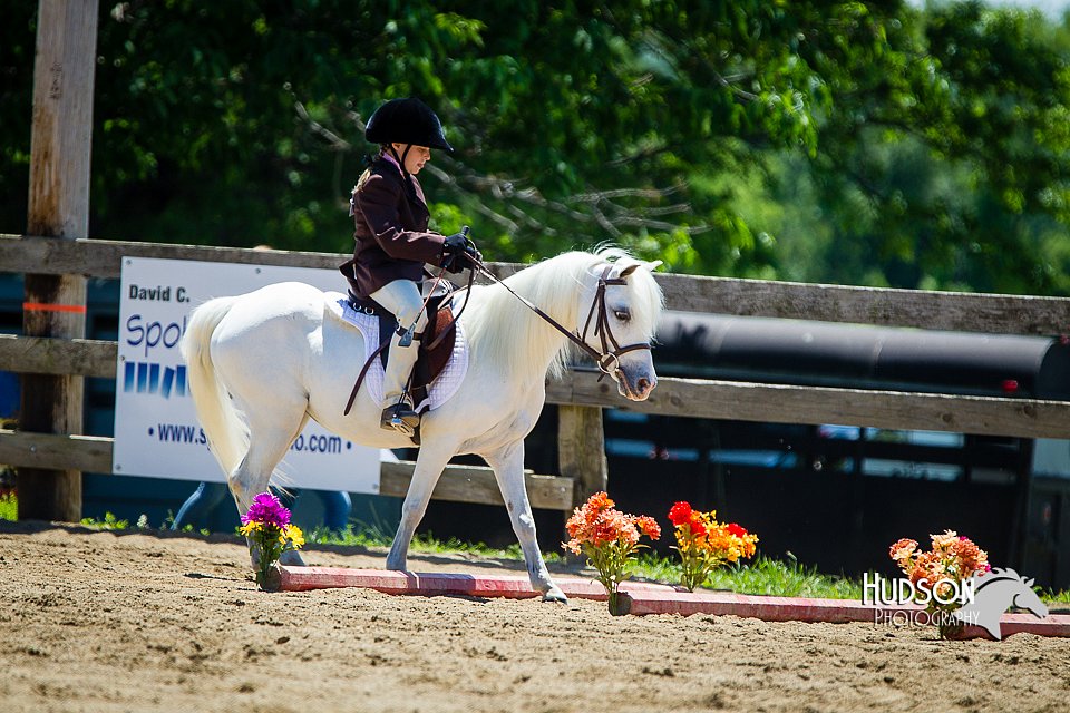 4H-FUN-060714-0863.jpg