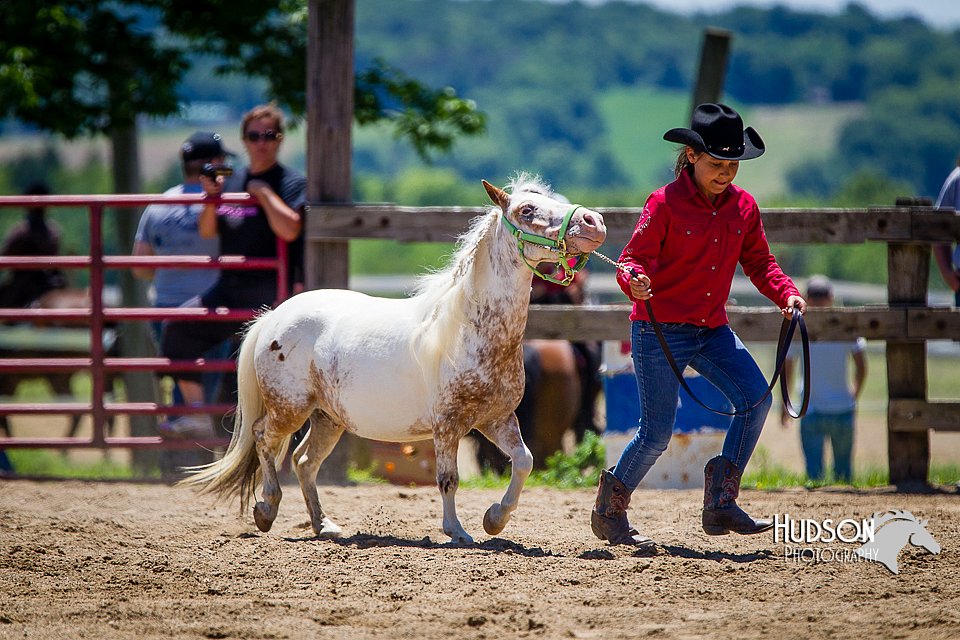 4H-FUN-060714-0894.jpg