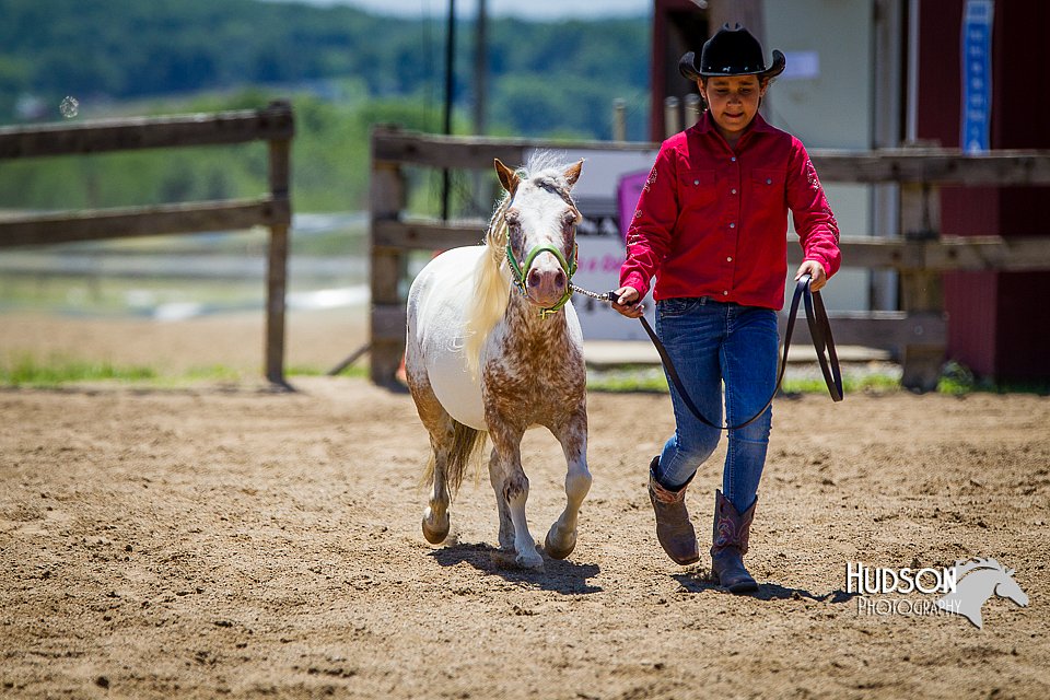 4H-FUN-060714-0896.jpg