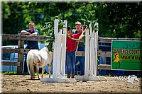 4H-FUN-060714-0887.jpg