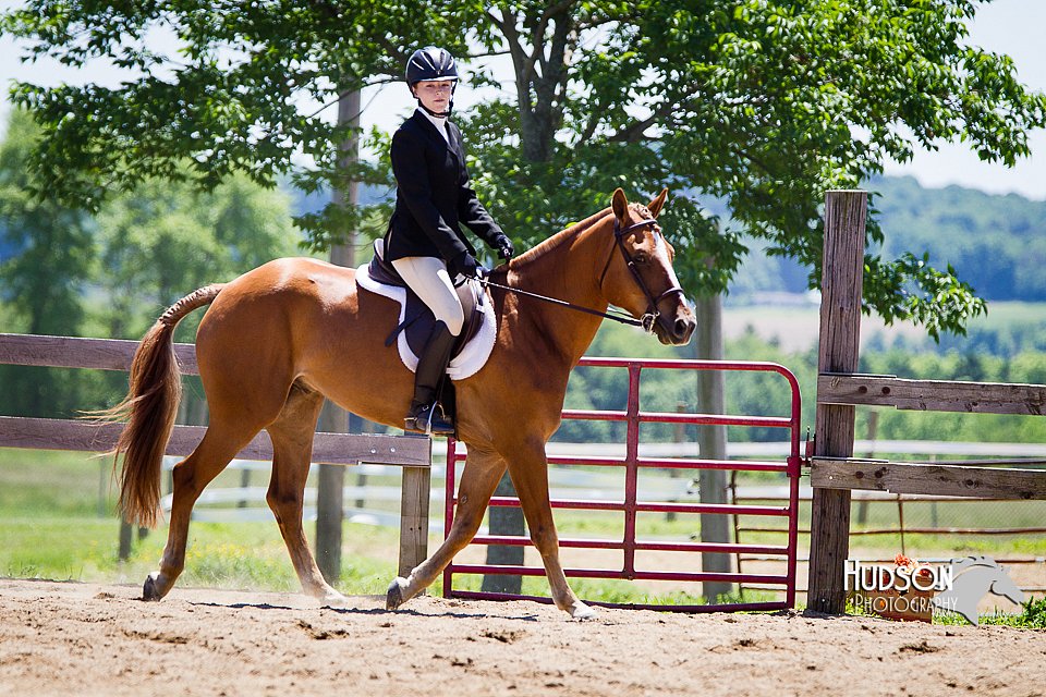 4H-FUN-060714-0928.jpg