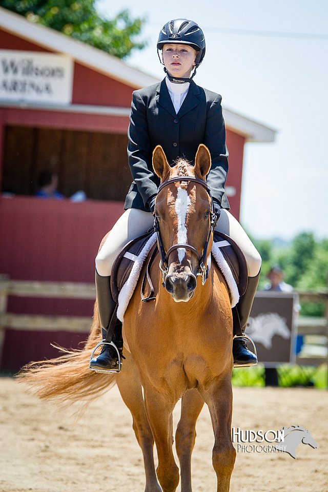 4H-FUN-060714-0933.jpg