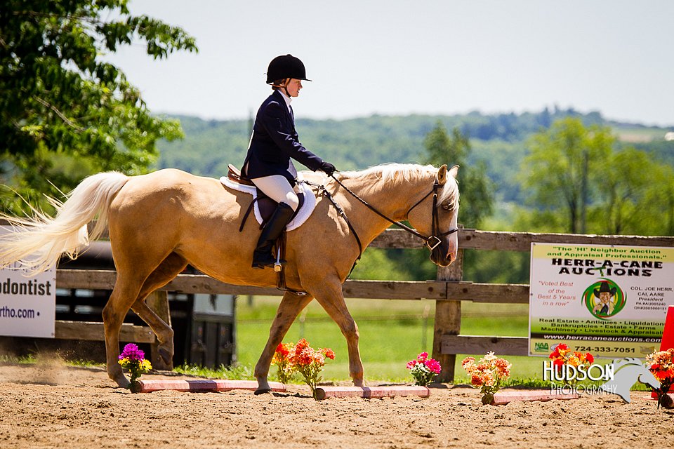 4H-FUN-060714-0938.jpg