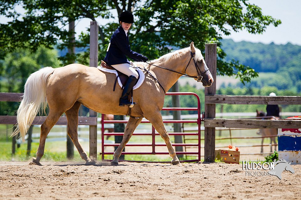 4H-FUN-060714-0940.jpg