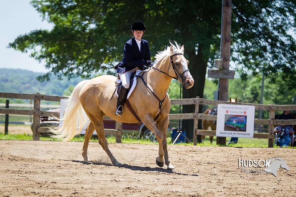 4H-FUN-060714-0944.jpg