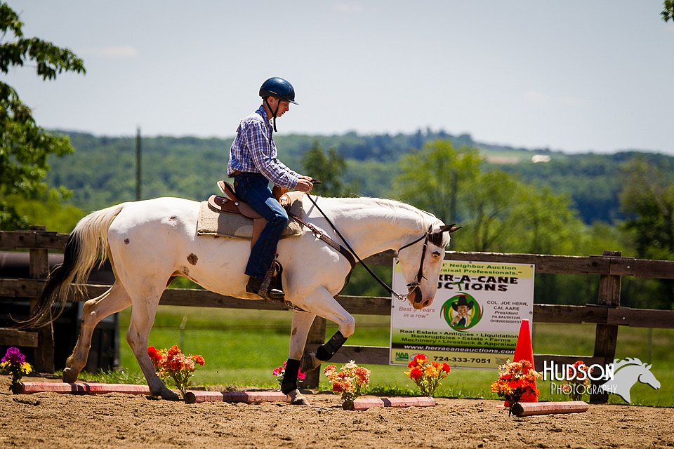 4H-FUN-060714-0955.jpg