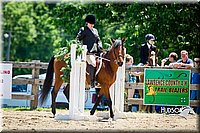 4H-FUN-060714-0909.jpg