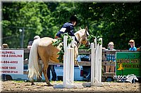 4H-FUN-060714-0936.jpg