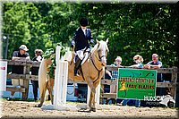 4H-FUN-060714-0937.jpg