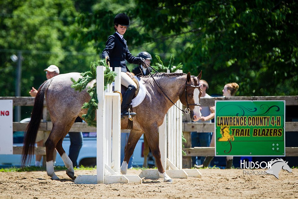 4H-FUN-060714-0965.jpg