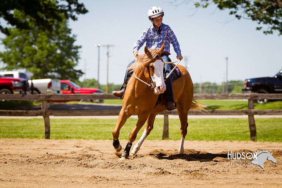 4H-FUN-060714-1227.jpg