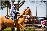 4H-FUN-060714-1228.jpg