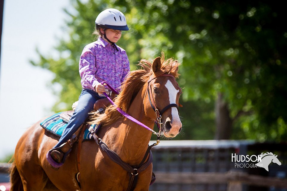 4H-FUN-060714-1394.jpg