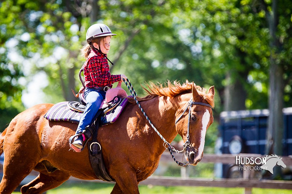 4H-FUN-060714-1431.jpg