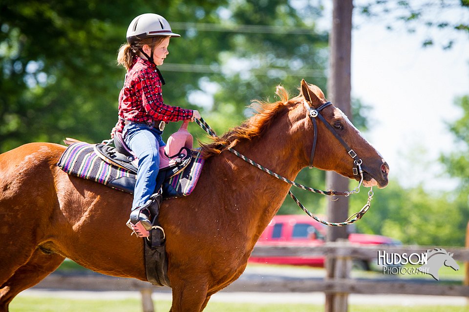 4H-FUN-060714-1434.jpg