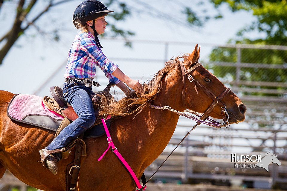 4H-FUN-060714-1449.jpg
