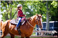 4H-FUN-060714-1432.jpg