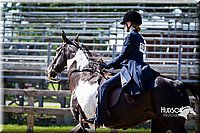 4H-FUN-060714-1469.jpg