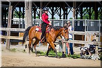 4H-FUN-060714-1489.jpg