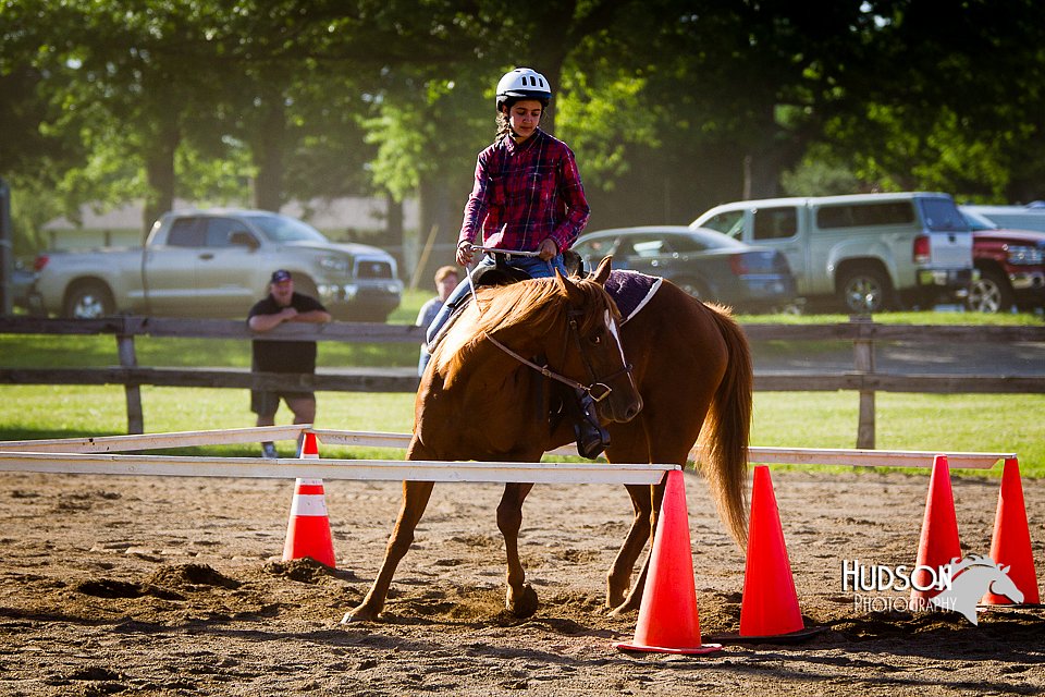 4H-FUN-060714-1711.jpg