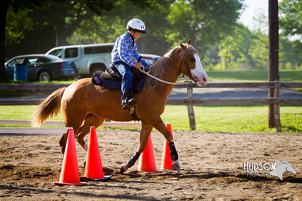 4H-FUN-060714-1757.jpg