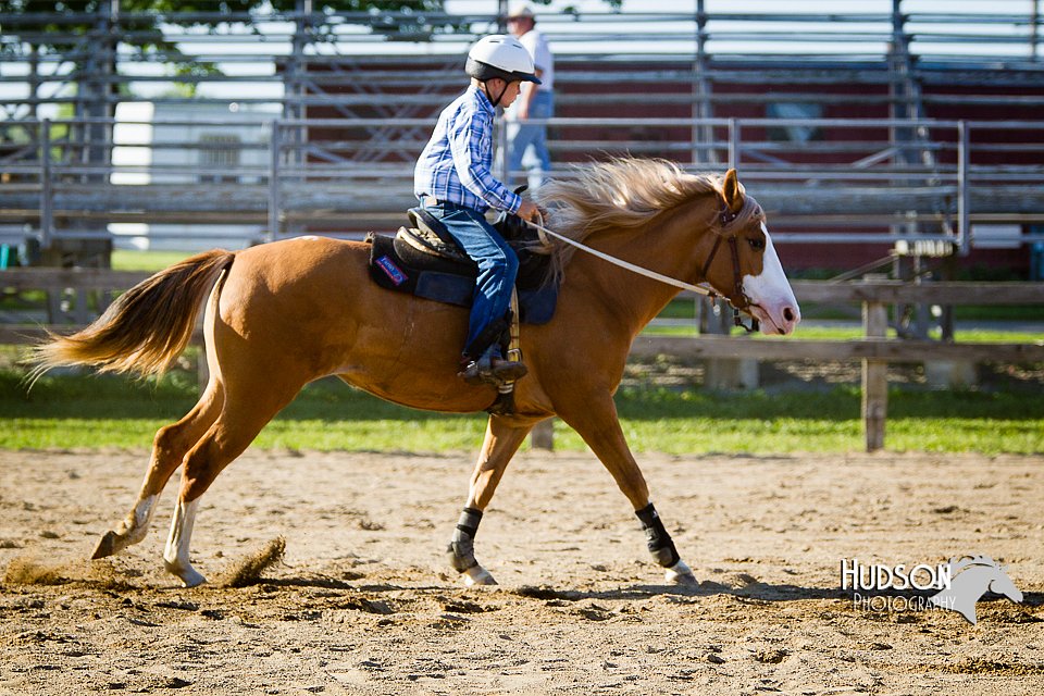 4H-FUN-060714-1759.jpg