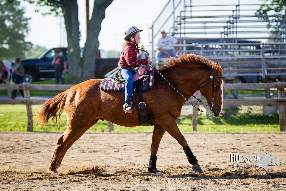 4H-FUN-060714-1773.jpg