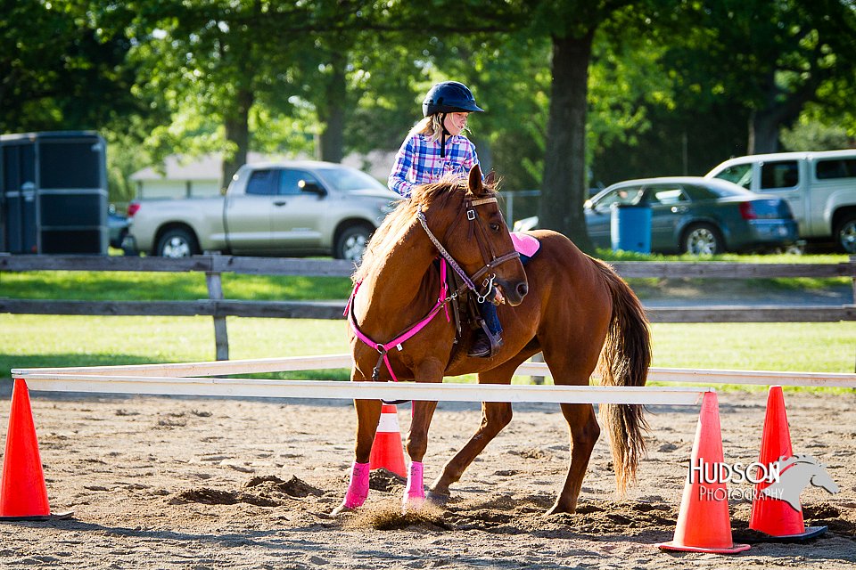 4H-FUN-060714-1794.jpg