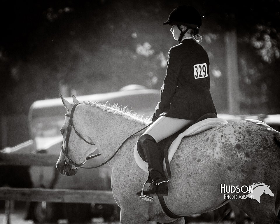 4H-FUN-060714-1843-2.jpg