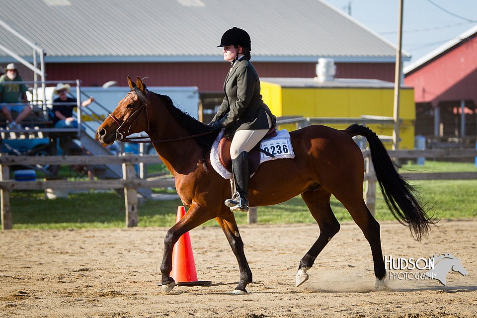 4H-FUN-060714-1847.jpg