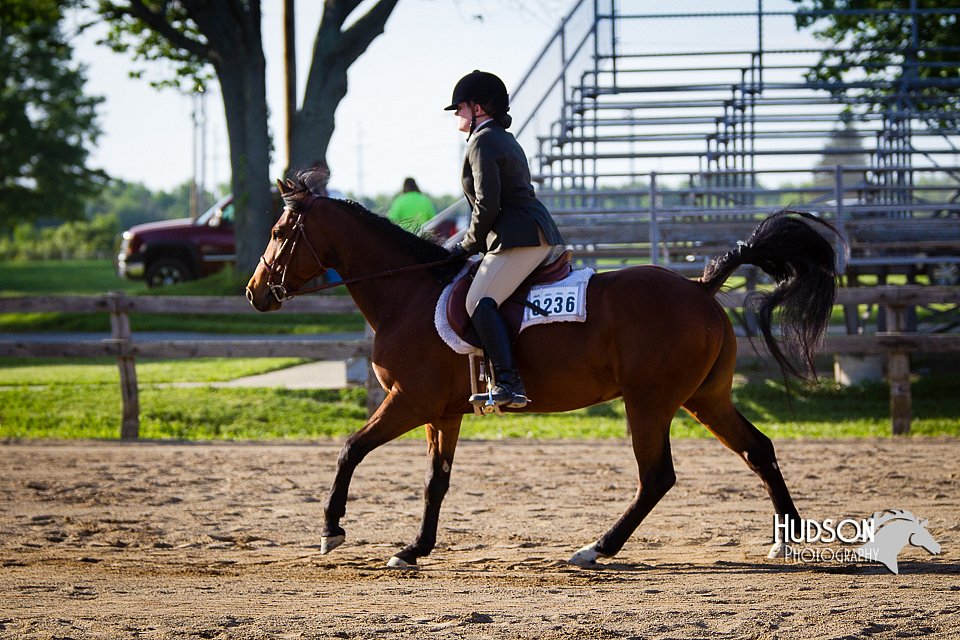 4H-FUN-060714-1849.jpg