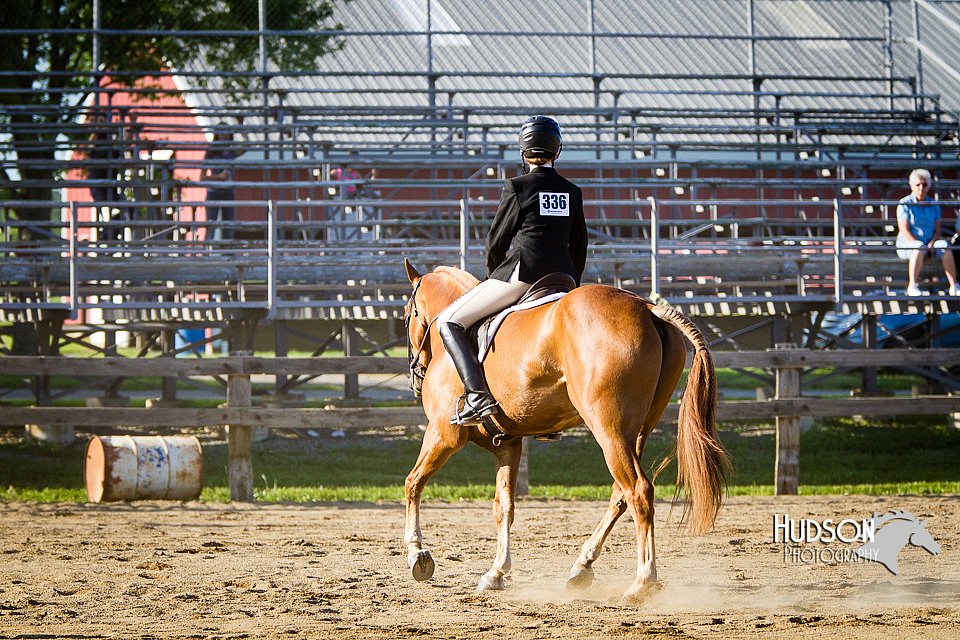 4H-FUN-060714-1850.jpg